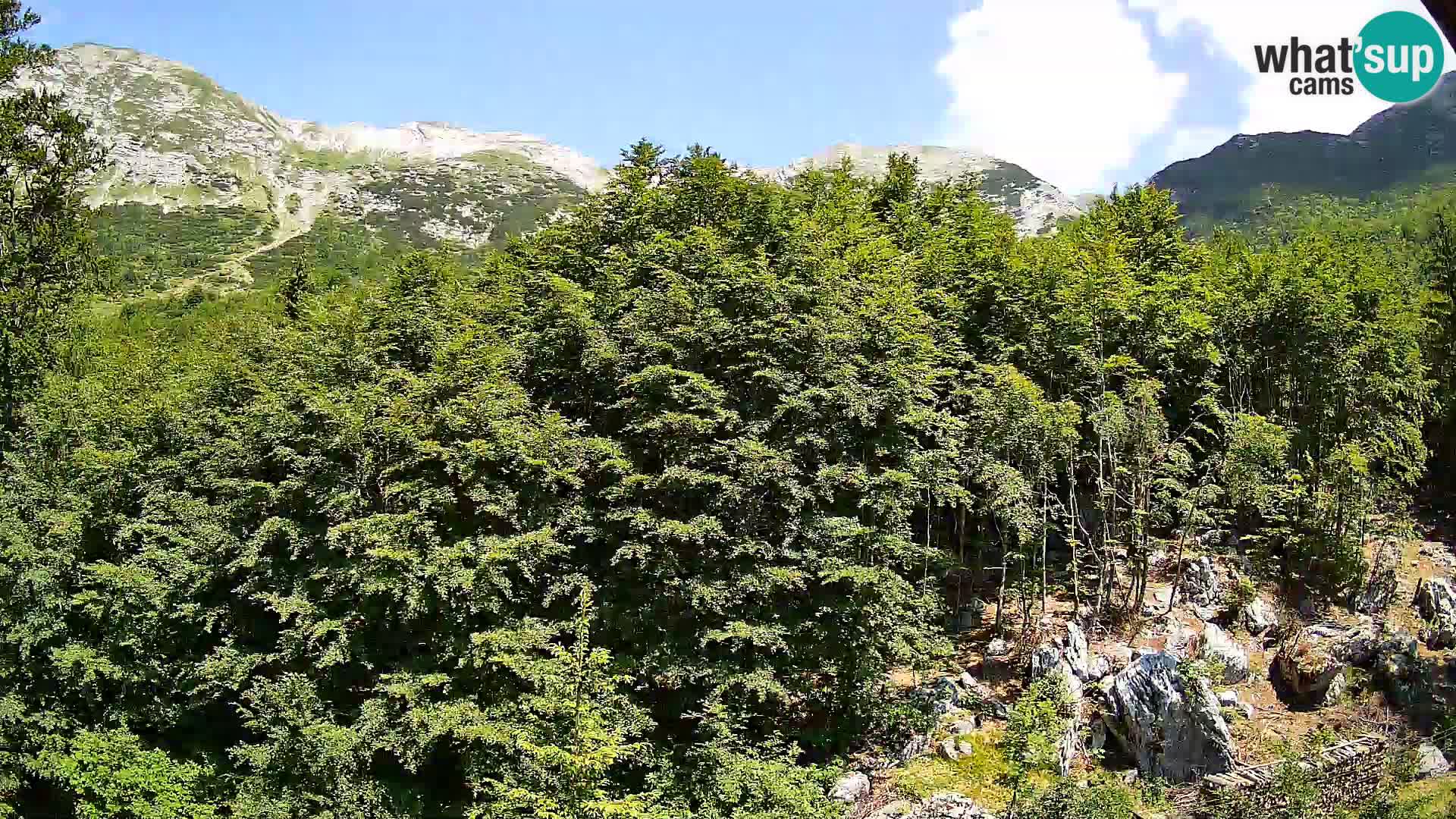 PLANINA RAZOR webcam (1315) | view to Vogel and Globoko