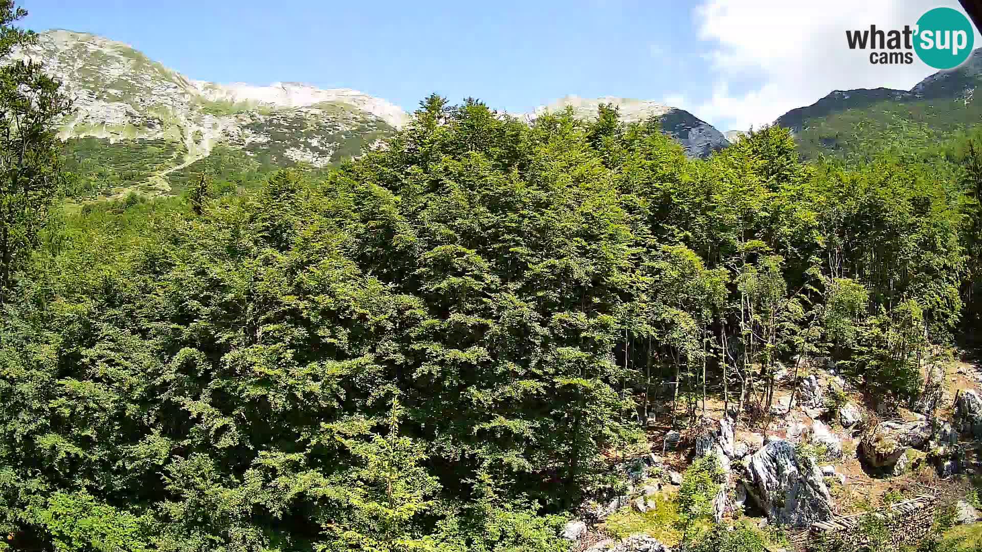 PLANINA RAZOR Live Cam (1315) | vista su Vogel e Globoko