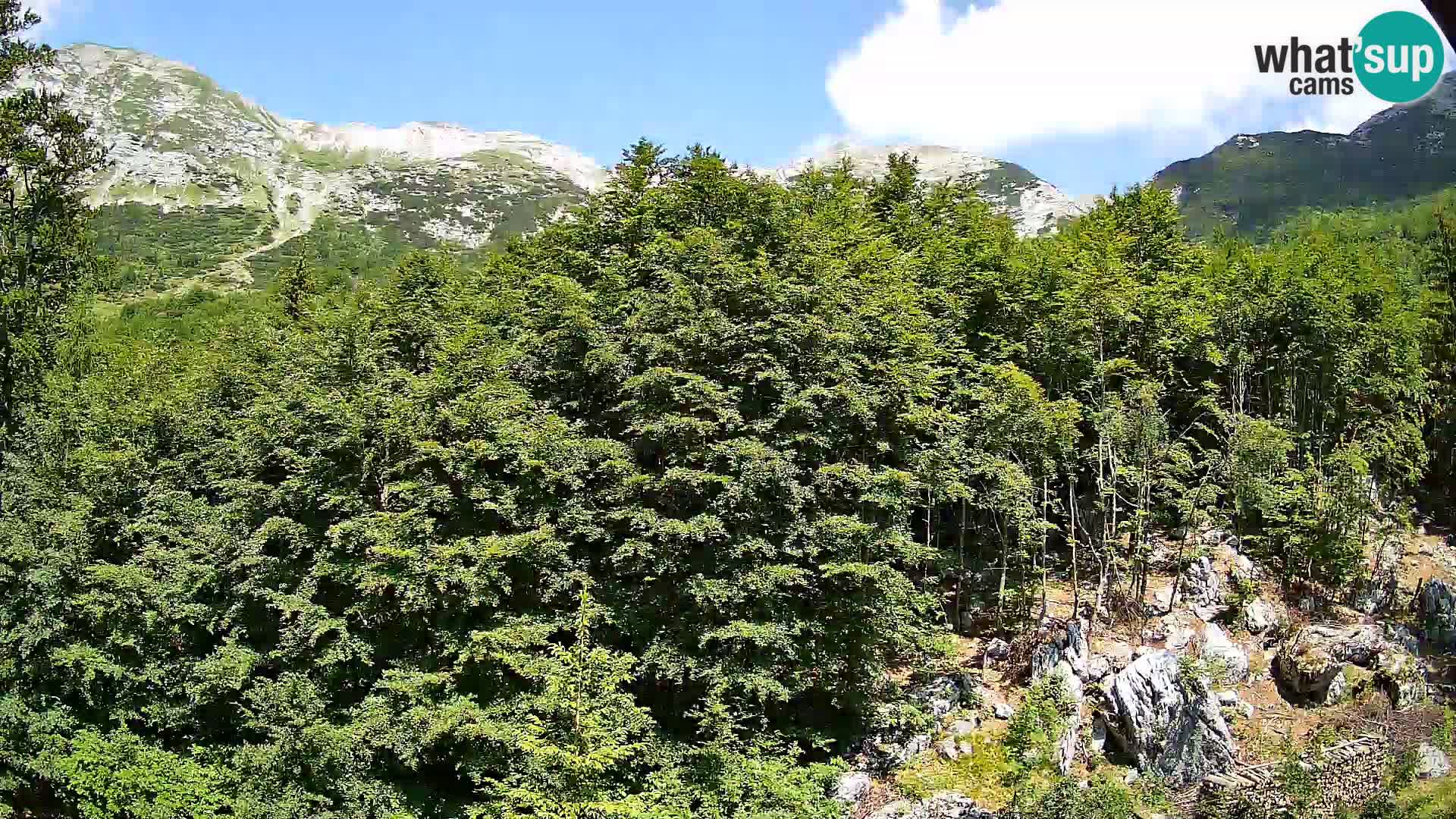 PLANINA RAZOR webcam (1315) | view to Vogel and Globoko