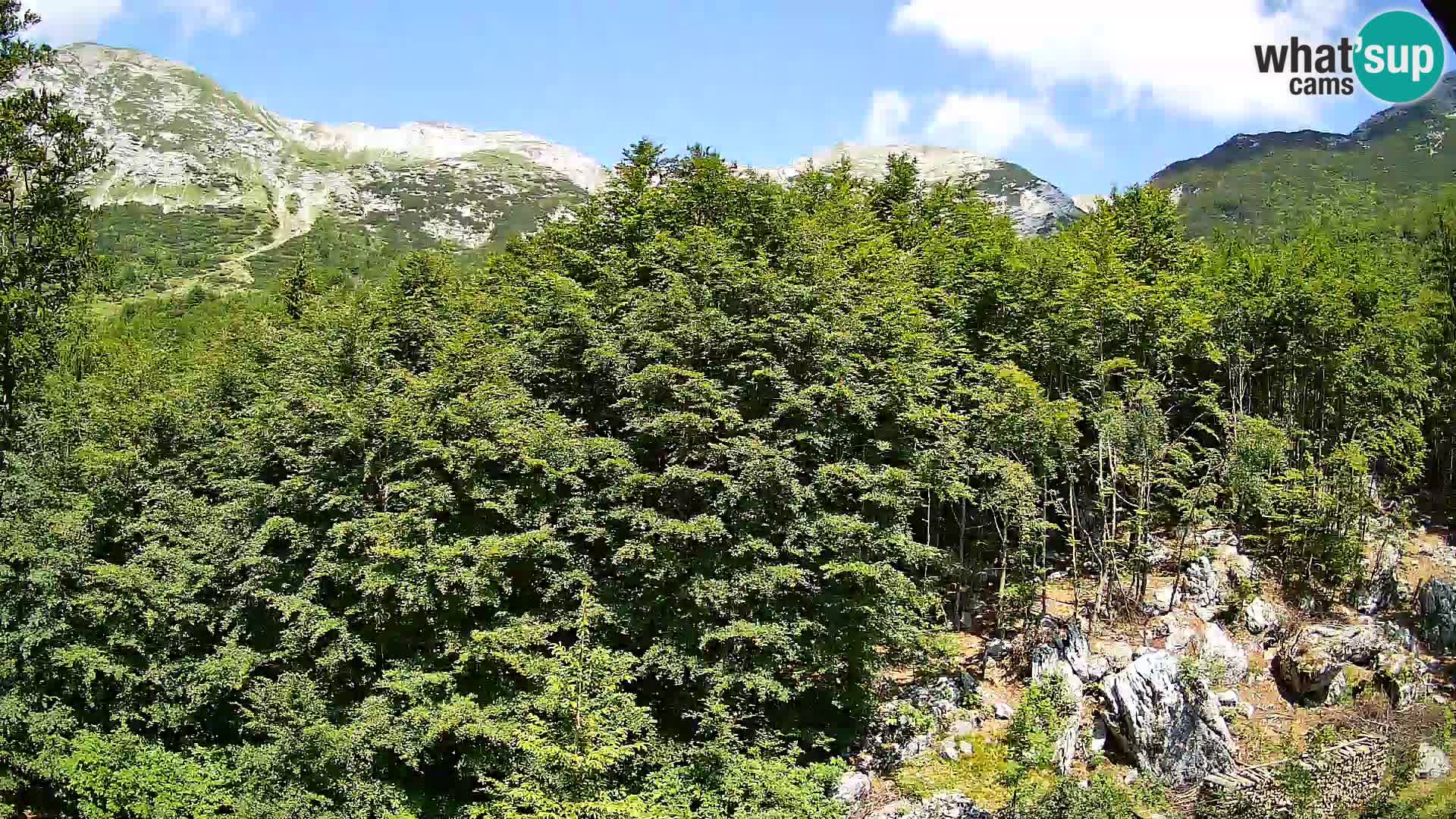 PLANINA RAZOR webcam (1315) | view to Vogel and Globoko