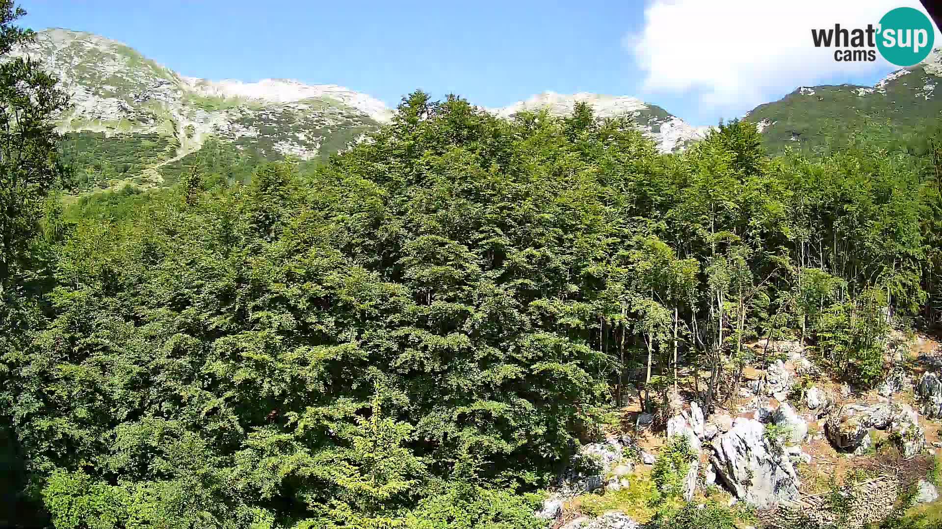 Livecam PLANINA RAZOR (1315) | vue sur Vogel et Globoko