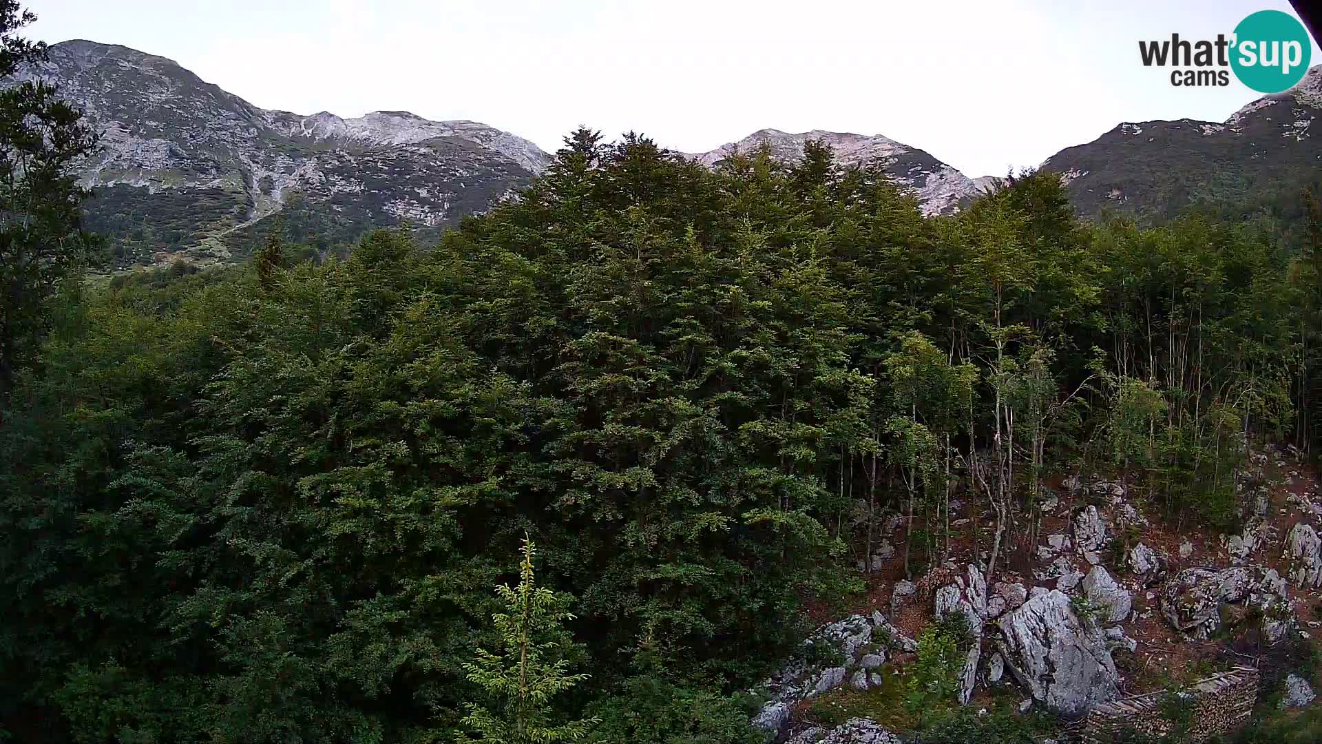 PLANINA RAZOR webcam (1315) | view to Vogel and Globoko