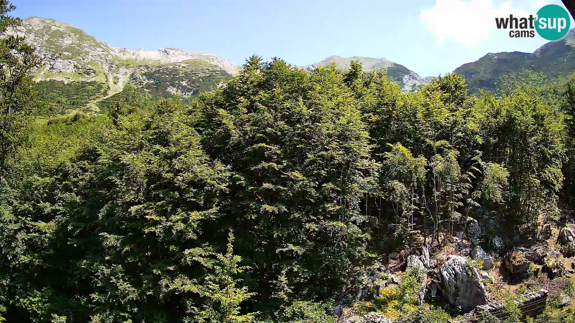 PLANINA RAZOR webcam (1315) | view to Vogel and Globoko