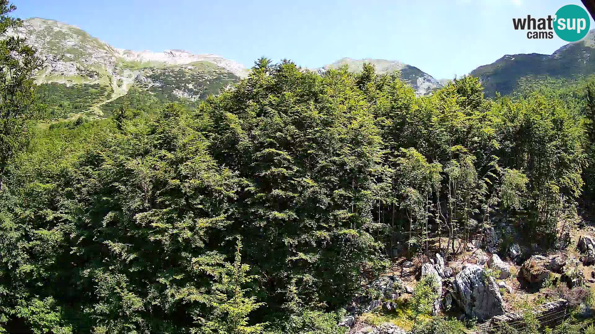 PLANINA RAZOR webcam (1315) | view to Vogel and Globoko