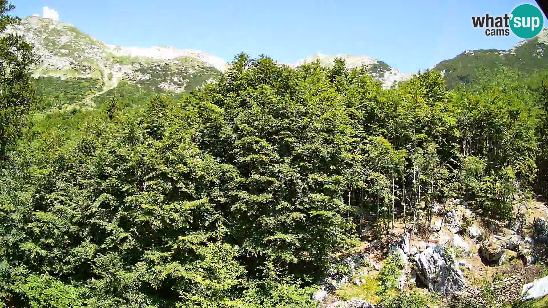 PLANINA RAZOR webcam (1315) | view to Vogel and Globoko