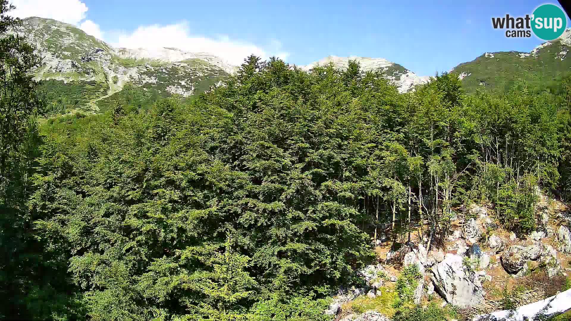 Webcam PLANINA RAZOR (1315) | Blick auf Vogel und Globoko