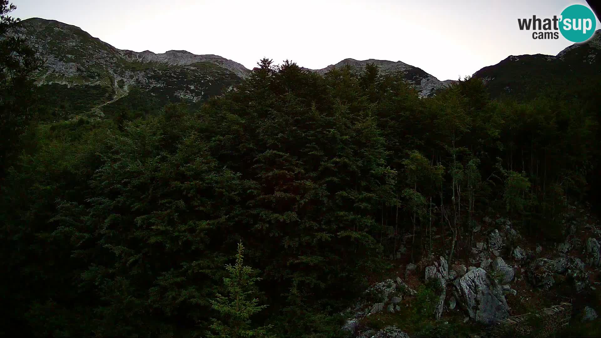 PLANINA RAZOR Live Cam (1315) | vista su Vogel e Globoko