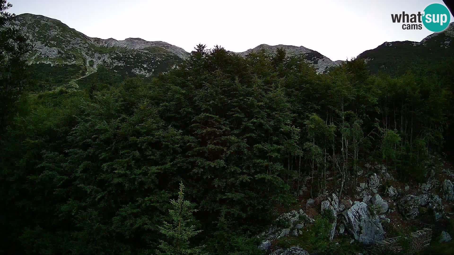 Webcam PLANINA RAZOR (1315) | Blick auf Vogel und Globoko