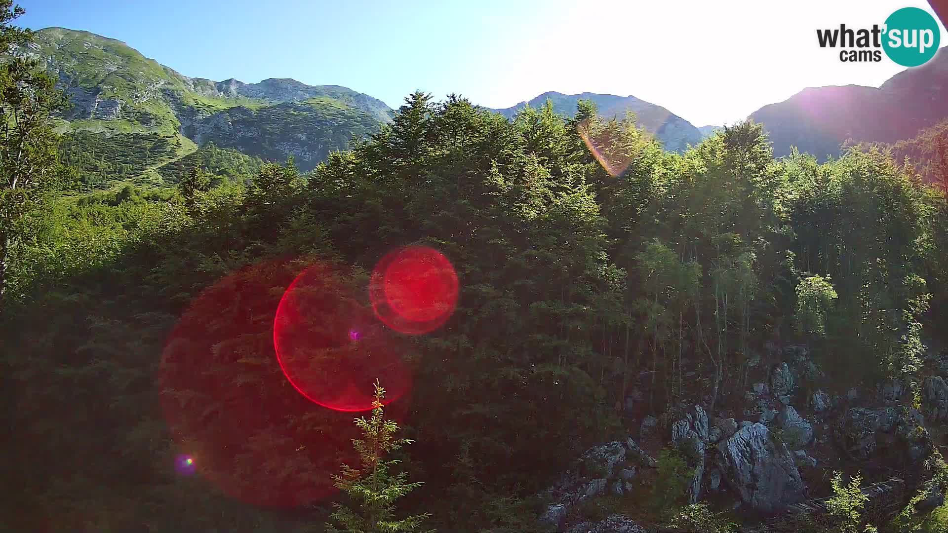 Webcam PLANINA RAZOR (1315) | Blick auf Vogel und Globoko