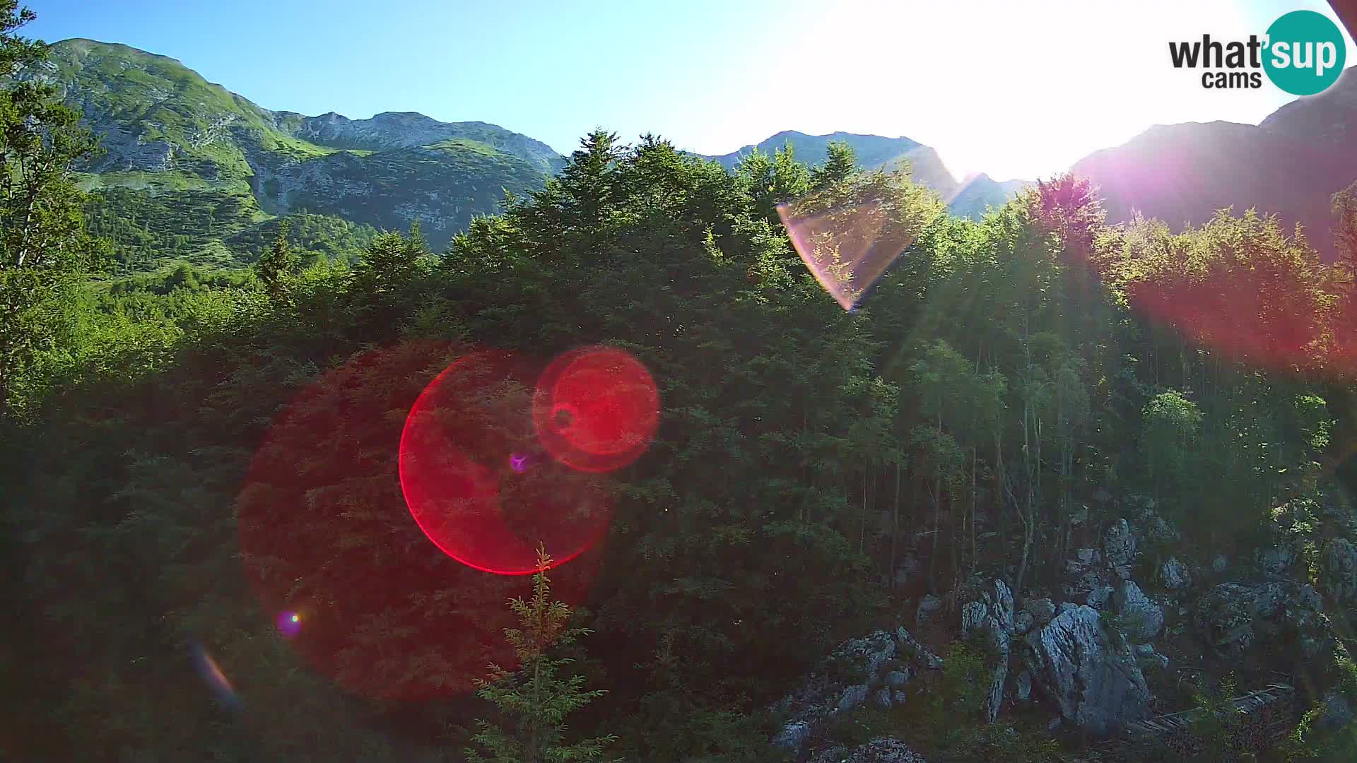 Webcam PLANINA RAZOR (1315) | Blick auf Vogel und Globoko