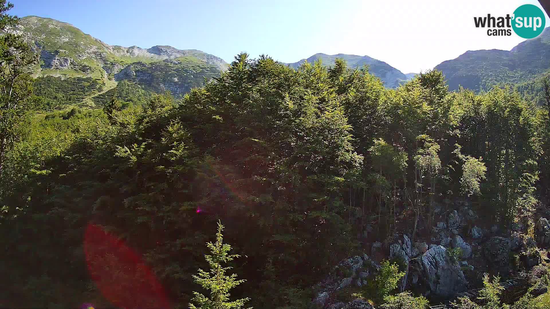 PLANINA RAZOR webcam (1315) | view to Vogel and Globoko