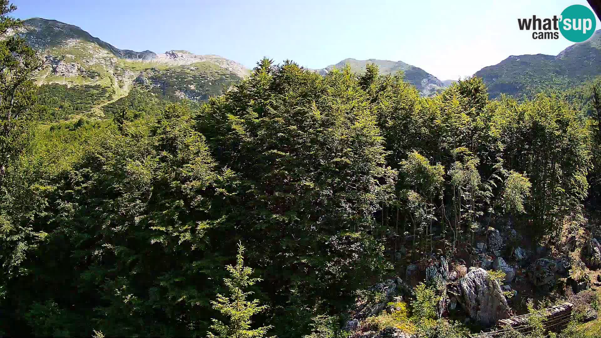 PLANINA RAZOR web kamera (1315) | pogled na Vogel i Globoko