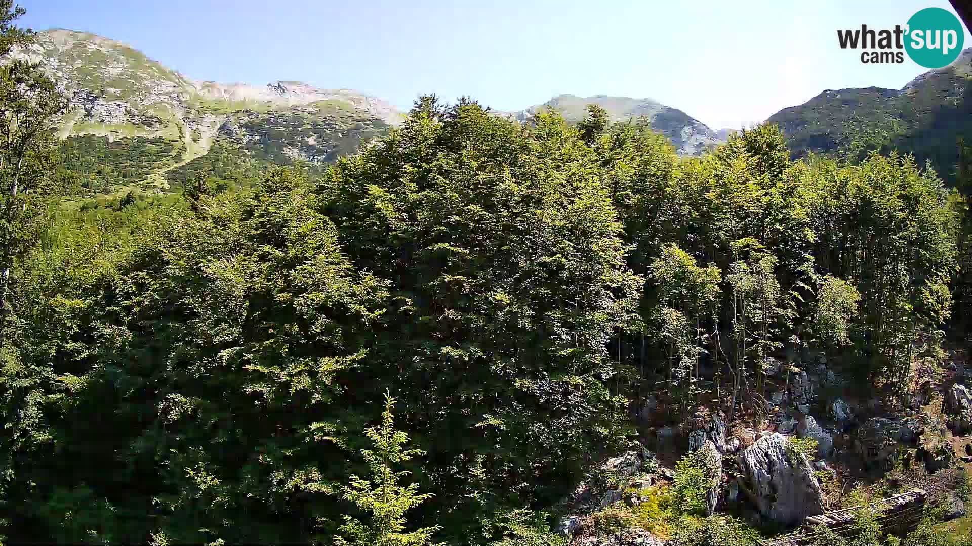 PLANINA RAZOR web kamera (1315) | pogled na Vogel i Globoko