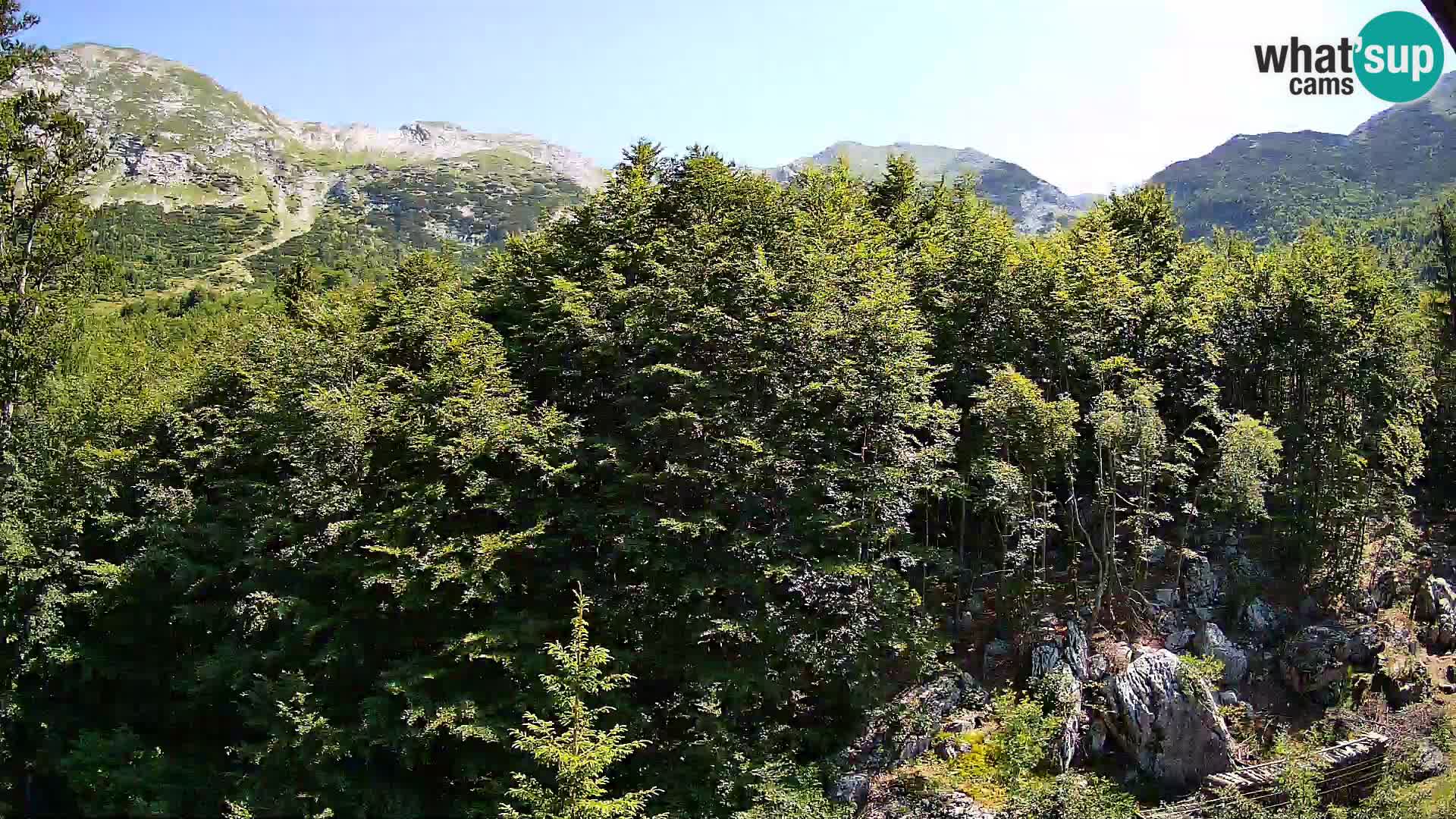 PLANINA RAZOR web kamera (1315) | pogled na Vogel i Globoko