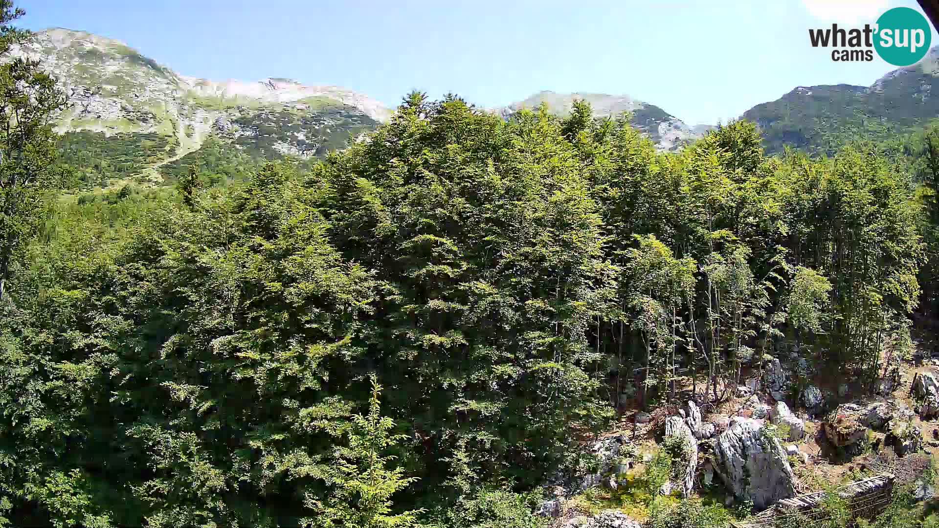 Livecam PLANINA RAZOR (1315) | vue sur Vogel et Globoko