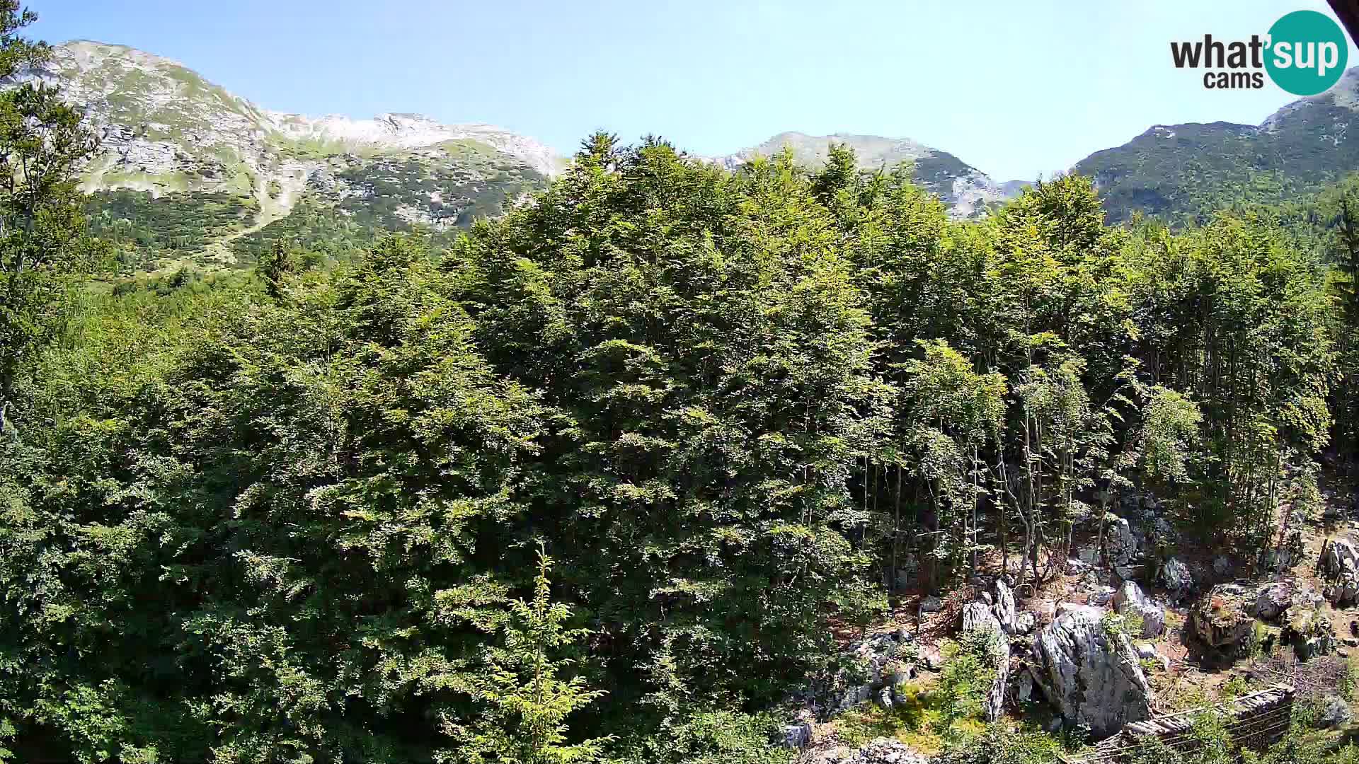PLANINA RAZOR webcam (1315) | view to Vogel and Globoko