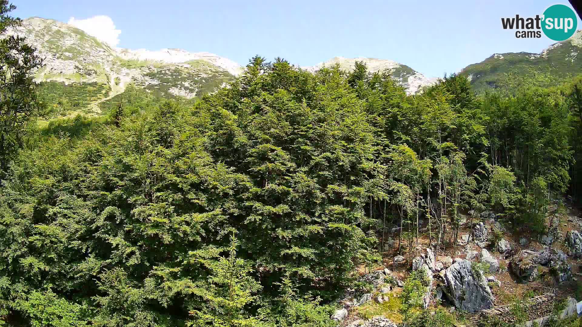 PLANINA RAZOR web kamera (1315) | pogled na Vogel i Globoko