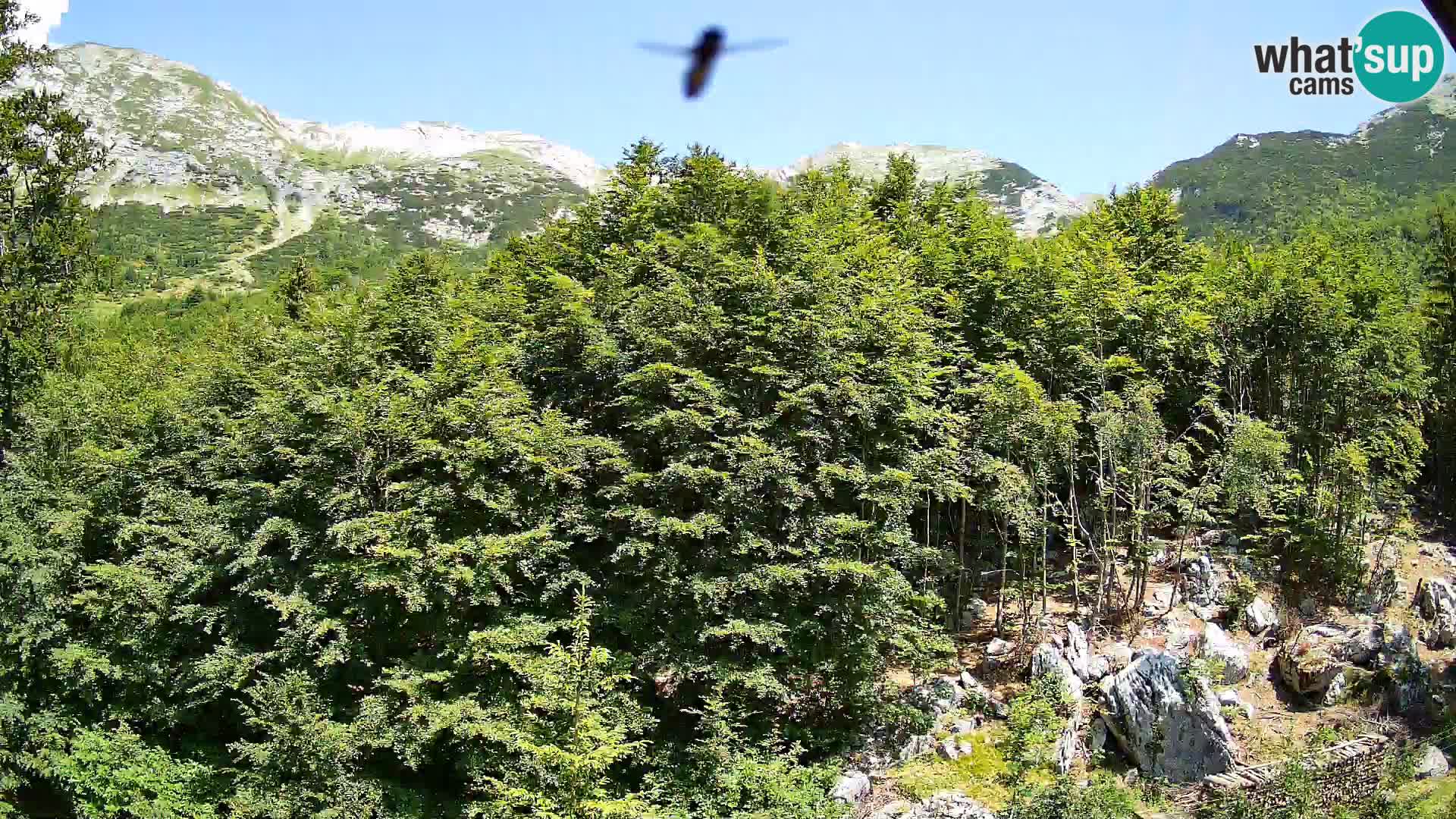 PLANINA RAZOR web kamera (1315) | pogled na Vogel i Globoko