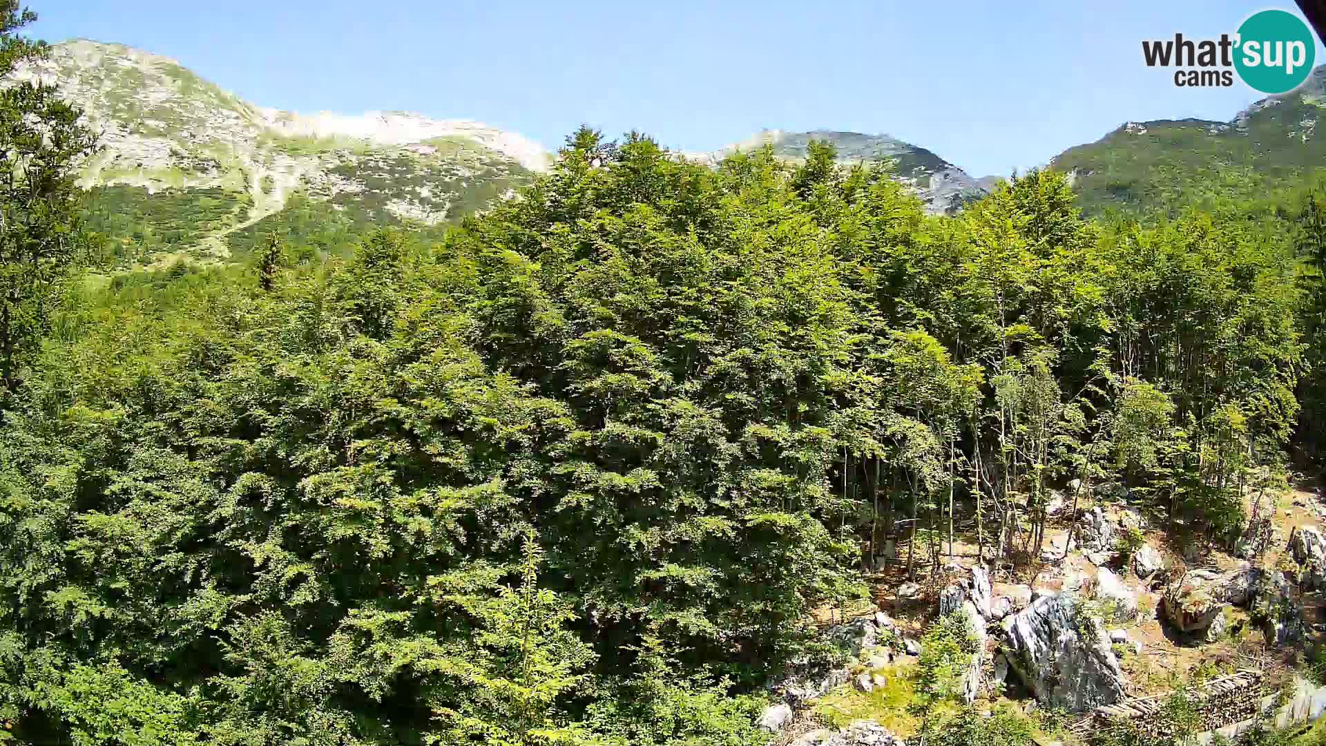 Webcam PLANINA RAZOR (1315) | Blick auf Vogel und Globoko