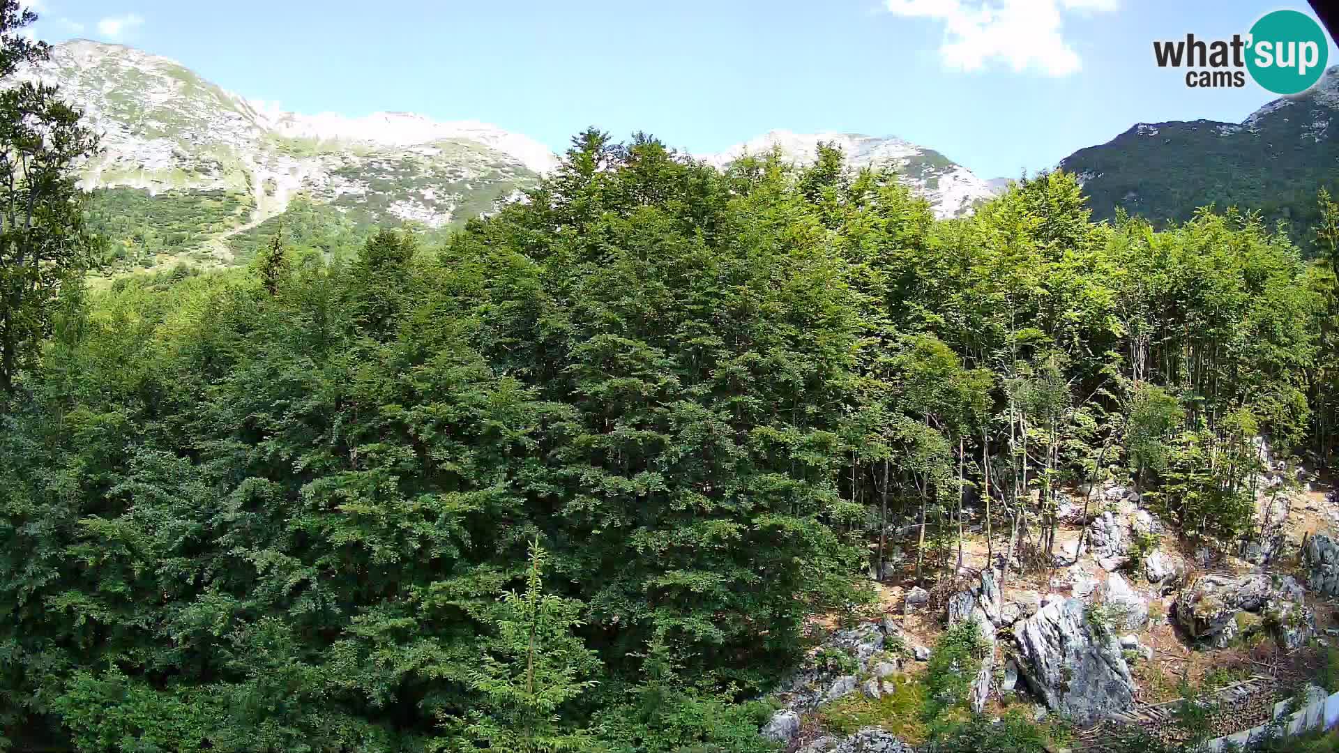 PLANINA RAZOR webcam (1315) | view to Vogel and Globoko