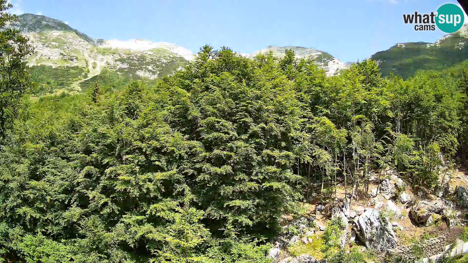 PLANINA RAZOR webcam (1315) | view to Vogel and Globoko