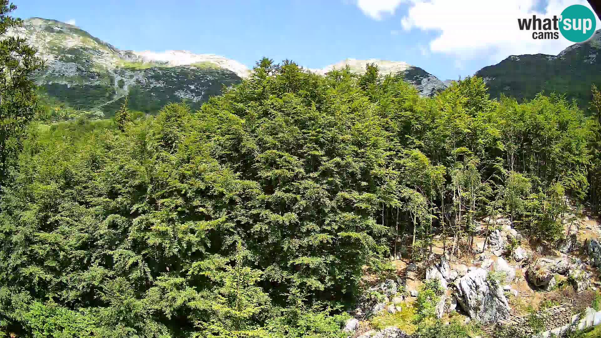 PLANINA RAZOR webcam (1315) | view to Vogel and Globoko