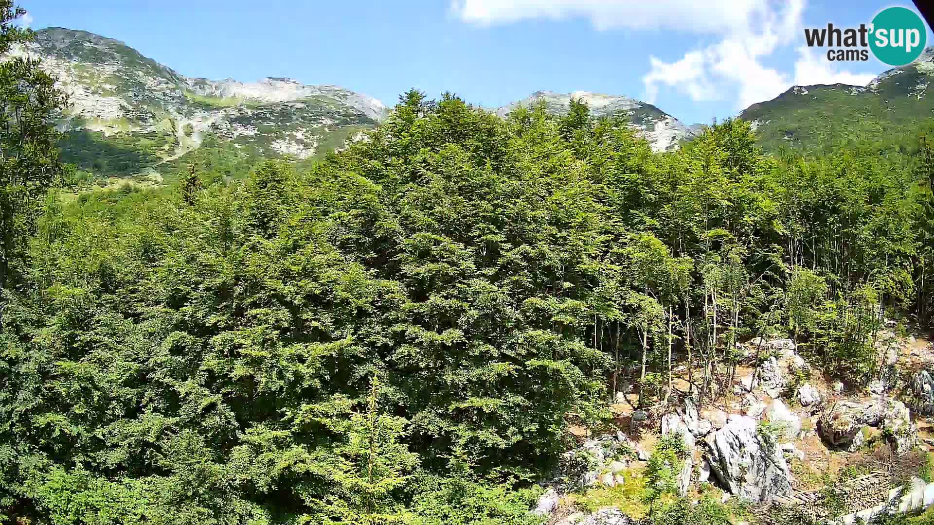 PLANINA RAZOR webcam (1315) | view to Vogel and Globoko
