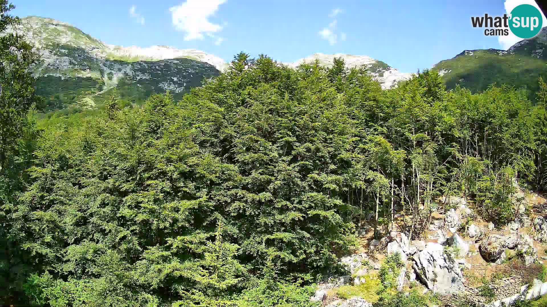 PLANINA RAZOR webcam (1315) | view to Vogel and Globoko