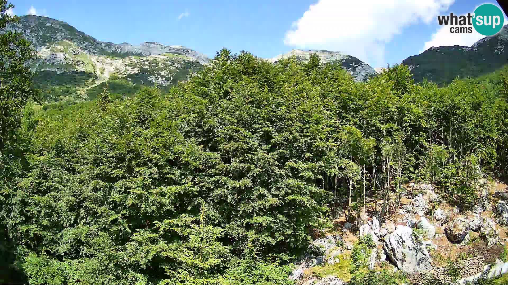 Livecam PLANINA RAZOR (1315) | vue sur Vogel et Globoko