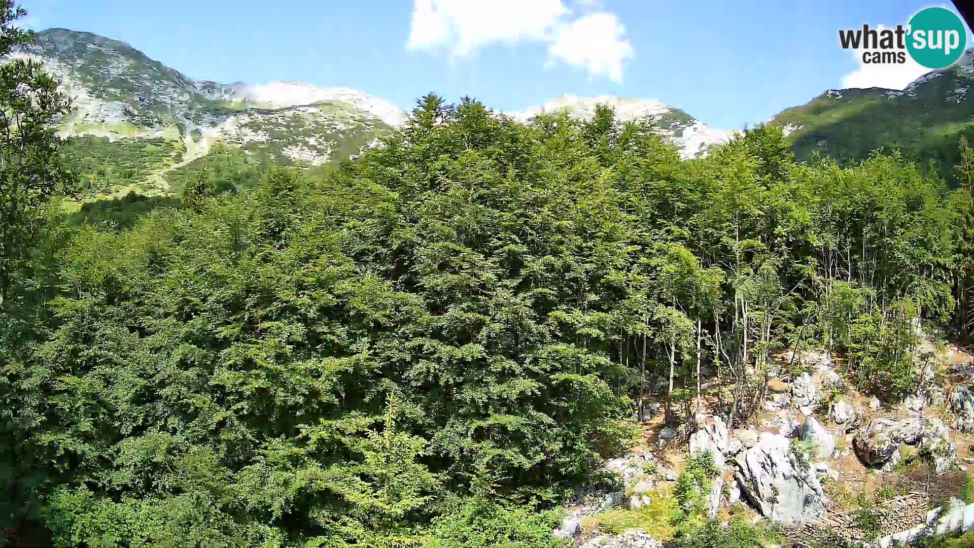 Livecam PLANINA RAZOR (1315) | vue sur Vogel et Globoko