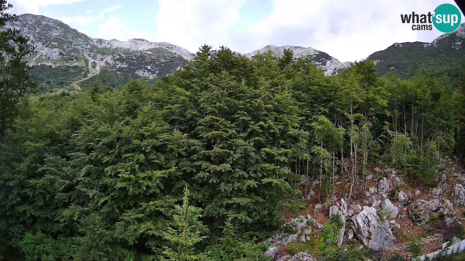 PLANINA RAZOR webcam (1315) | view to Vogel and Globoko