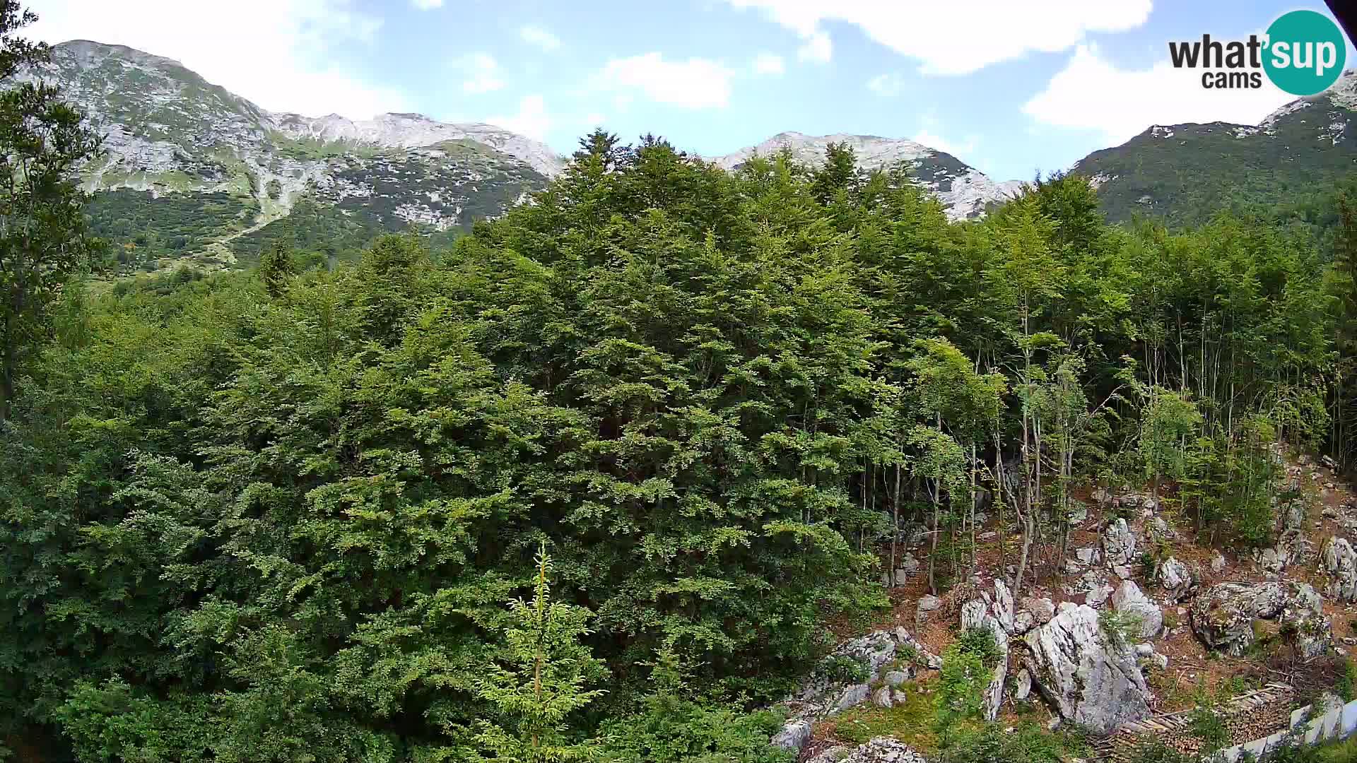 PLANINA RAZOR kamera (1315) | pogled na Vogel in Globoko