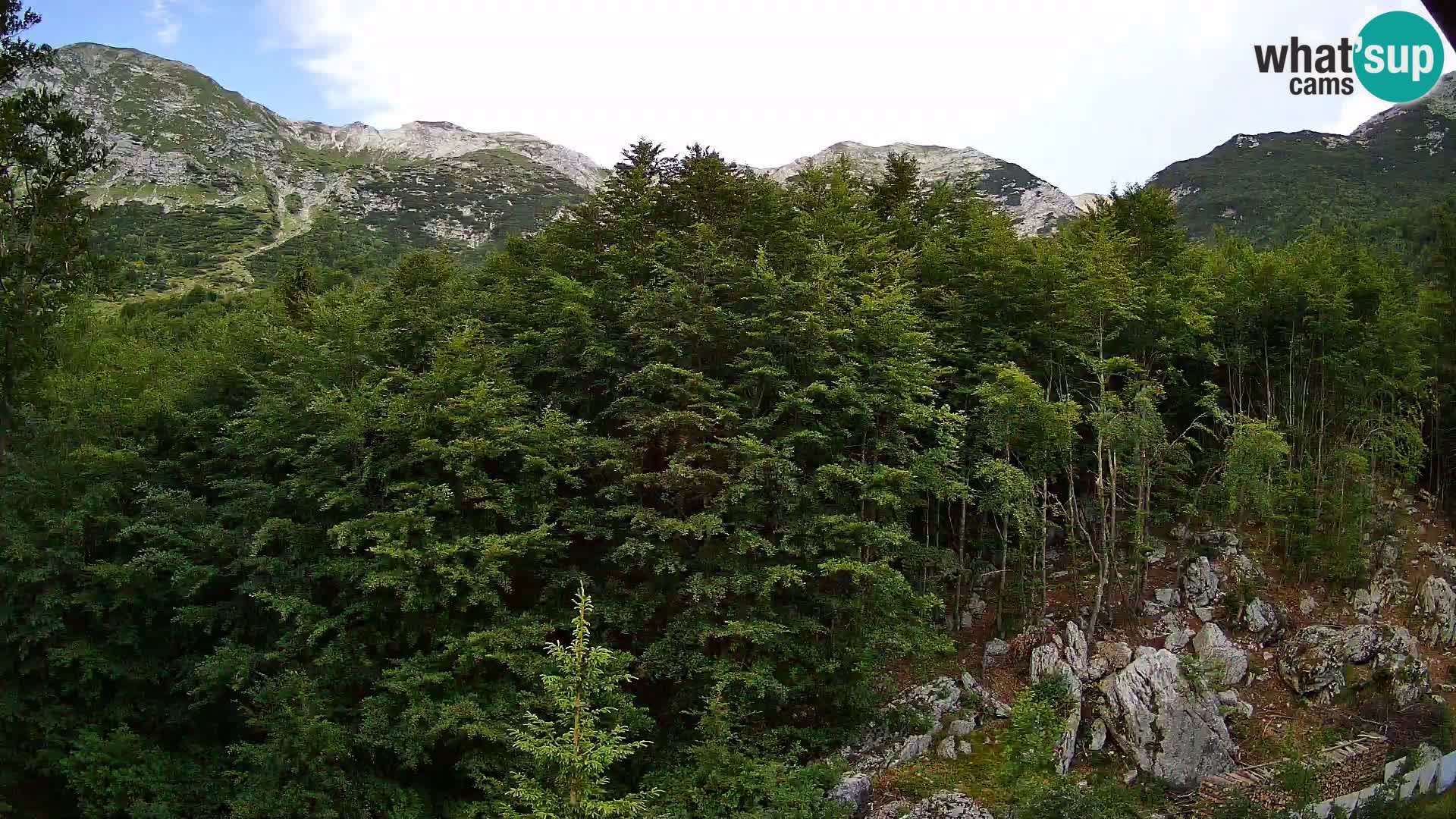 PLANINA RAZOR webcam (1315) | view to Vogel and Globoko