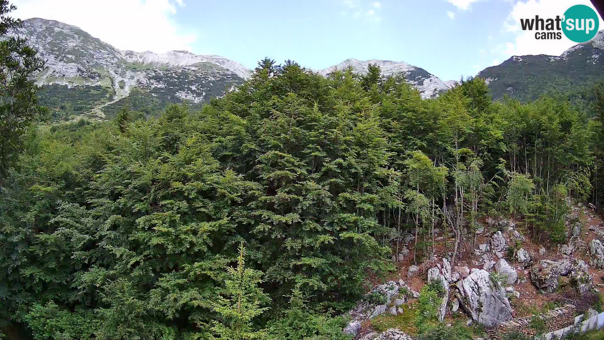 PLANINA RAZOR Live Cam (1315) | vista su Vogel e Globoko