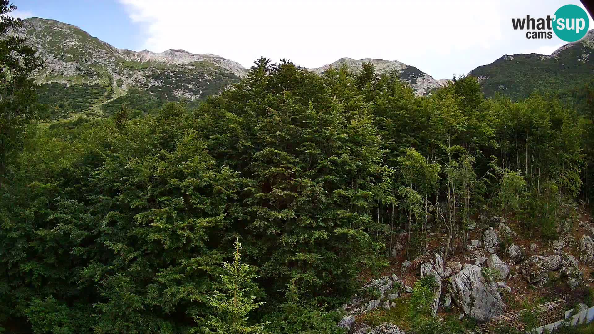 Livecam PLANINA RAZOR (1315) | vue sur Vogel et Globoko