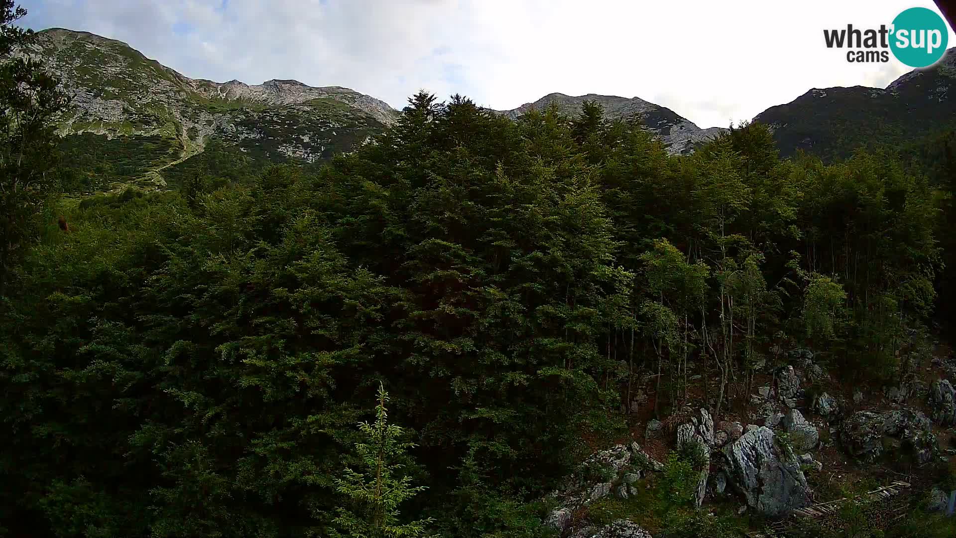 PLANINA RAZOR kamera (1315) | pogled na Vogel in Globoko