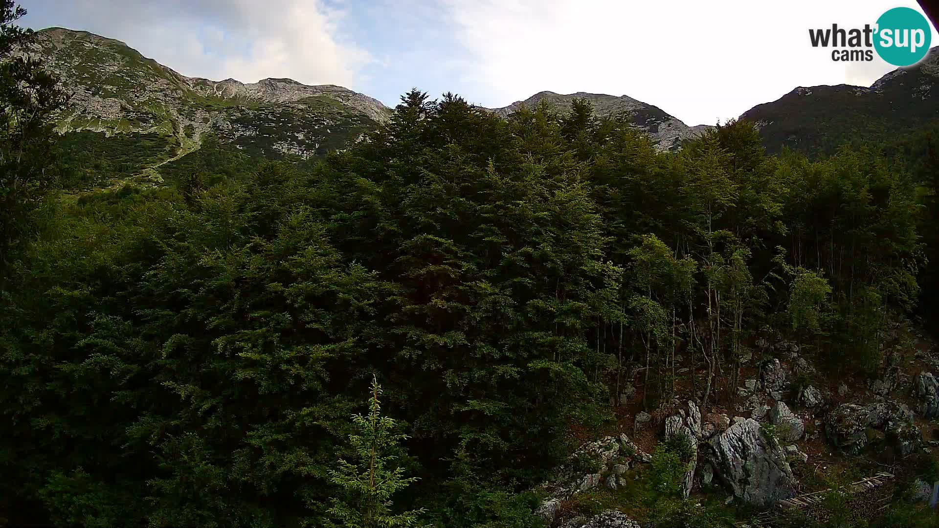 PLANINA RAZOR web kamera (1315) | pogled na Vogel i Globoko