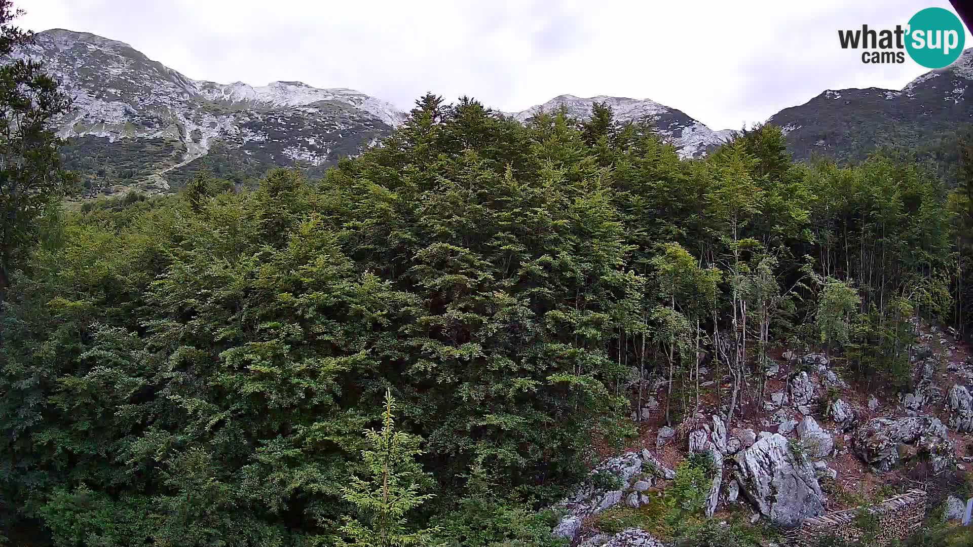 Livecam PLANINA RAZOR (1315) | vue sur Vogel et Globoko