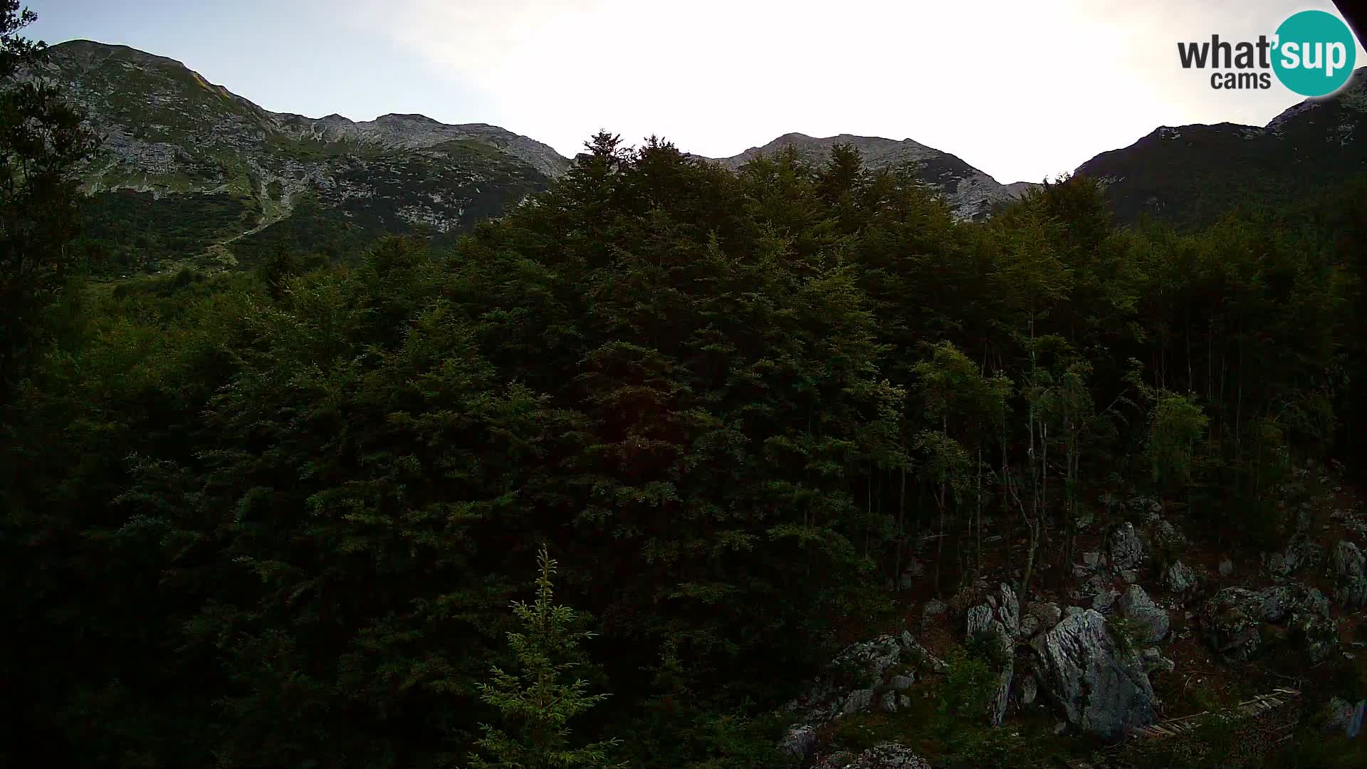 Livecam PLANINA RAZOR (1315) | vue sur Vogel et Globoko
