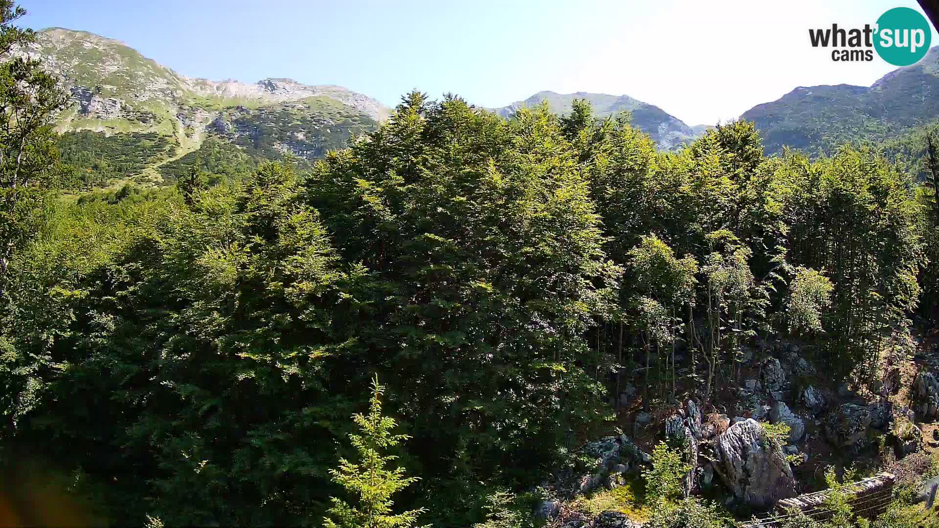PLANINA RAZOR Live Cam (1315) | vista su Vogel e Globoko