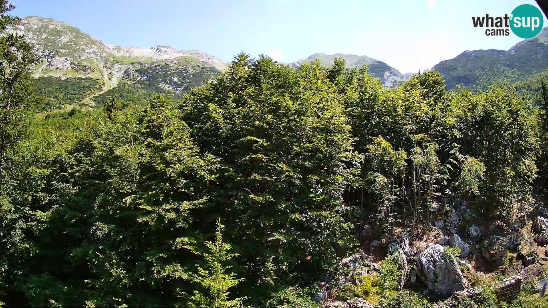 PLANINA RAZOR webcam (1315) | view to Vogel and Globoko