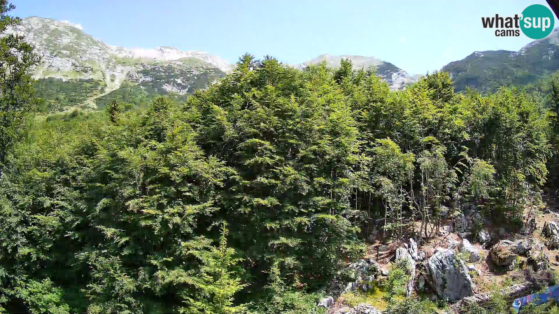 Livecam PLANINA RAZOR (1315) | vue sur Vogel et Globoko