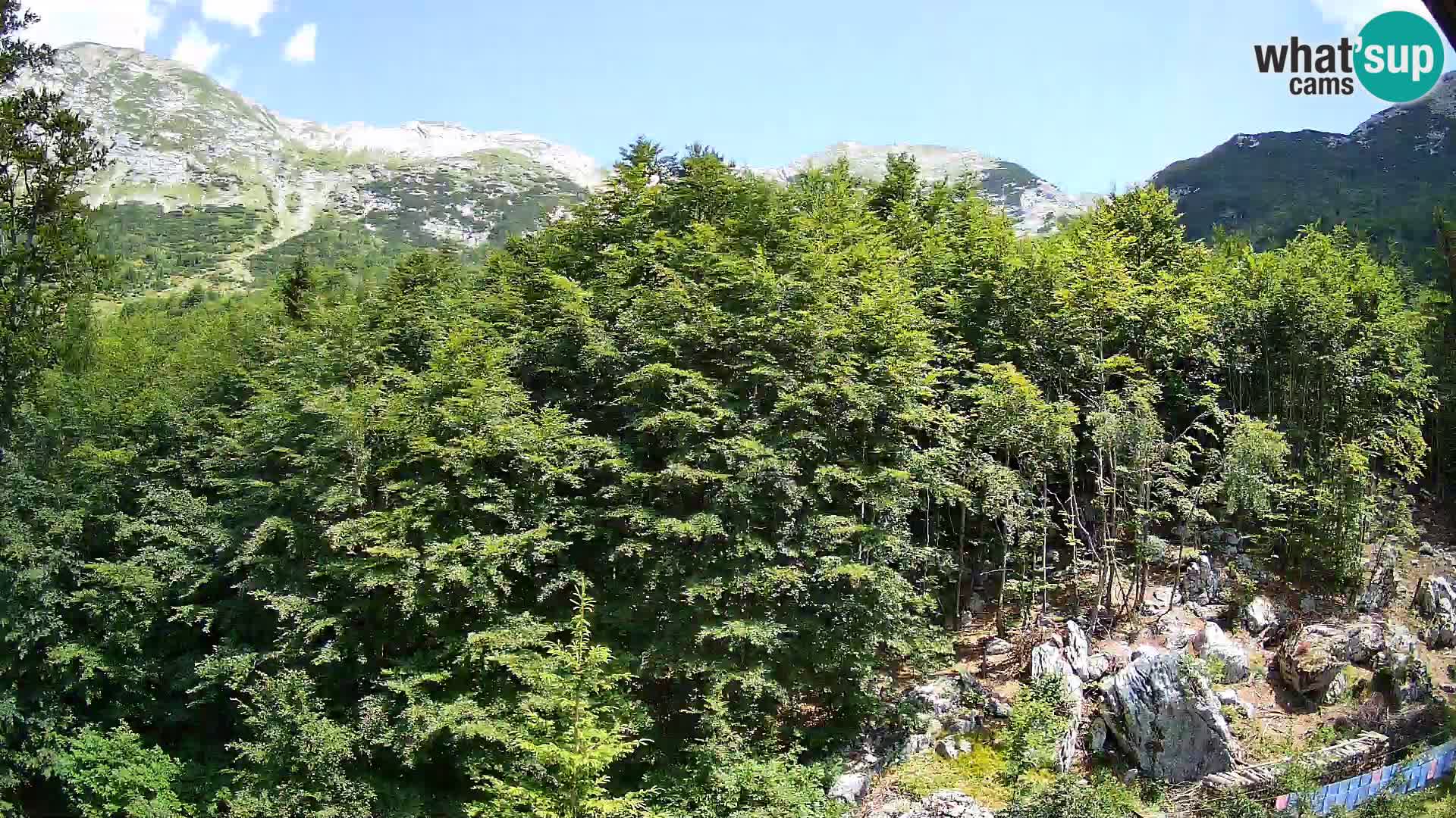 PLANINA RAZOR web kamera (1315) | pogled na Vogel i Globoko