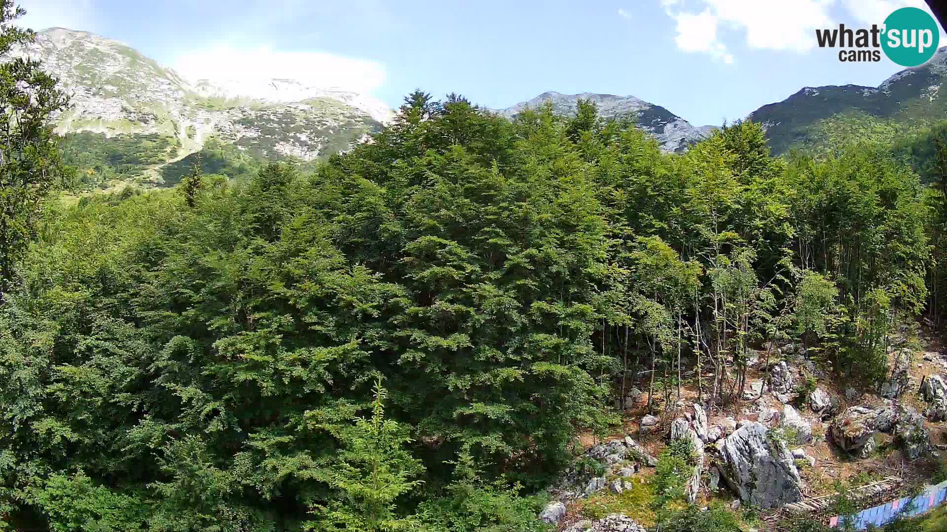 PLANINA RAZOR web kamera (1315) | pogled na Vogel i Globoko