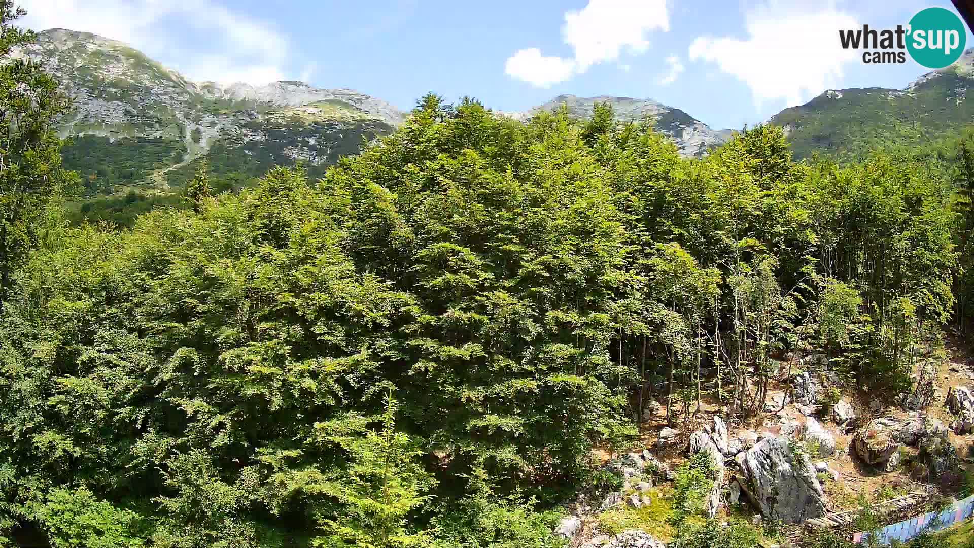 Livecam PLANINA RAZOR (1315) | vue sur Vogel et Globoko