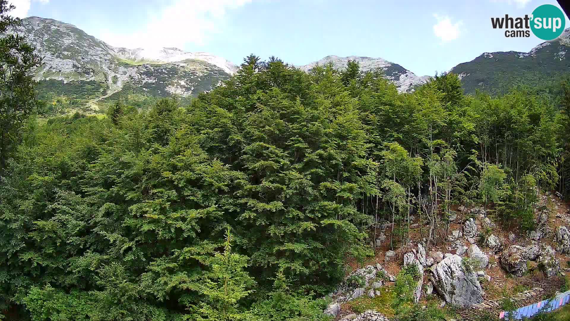 Livecam PLANINA RAZOR (1315) | vue sur Vogel et Globoko