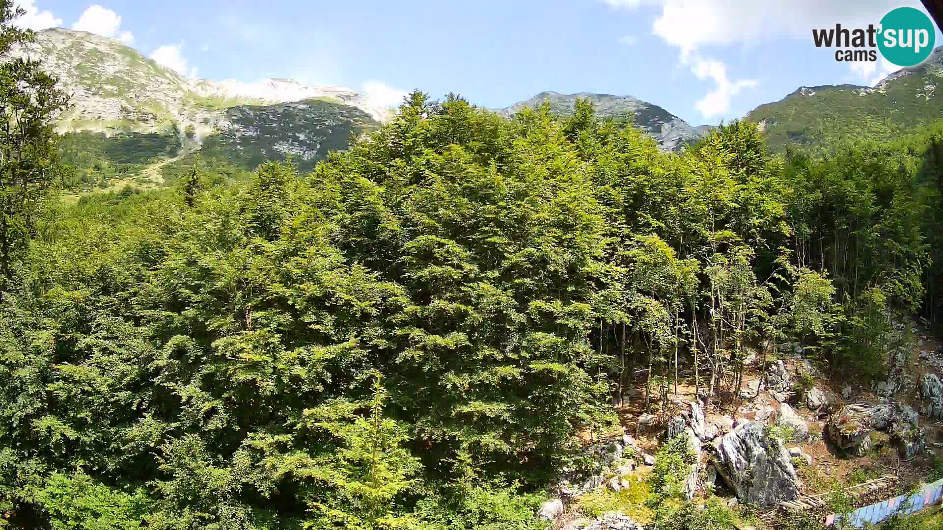 Cámara web PLANINA RAZOR (1315) | vista a Vogel y Globoko