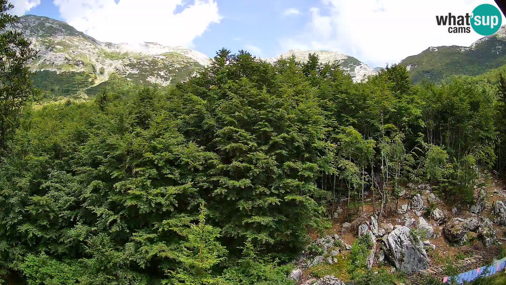 PLANINA RAZOR kamera (1315) | pogled na Vogel in Globoko