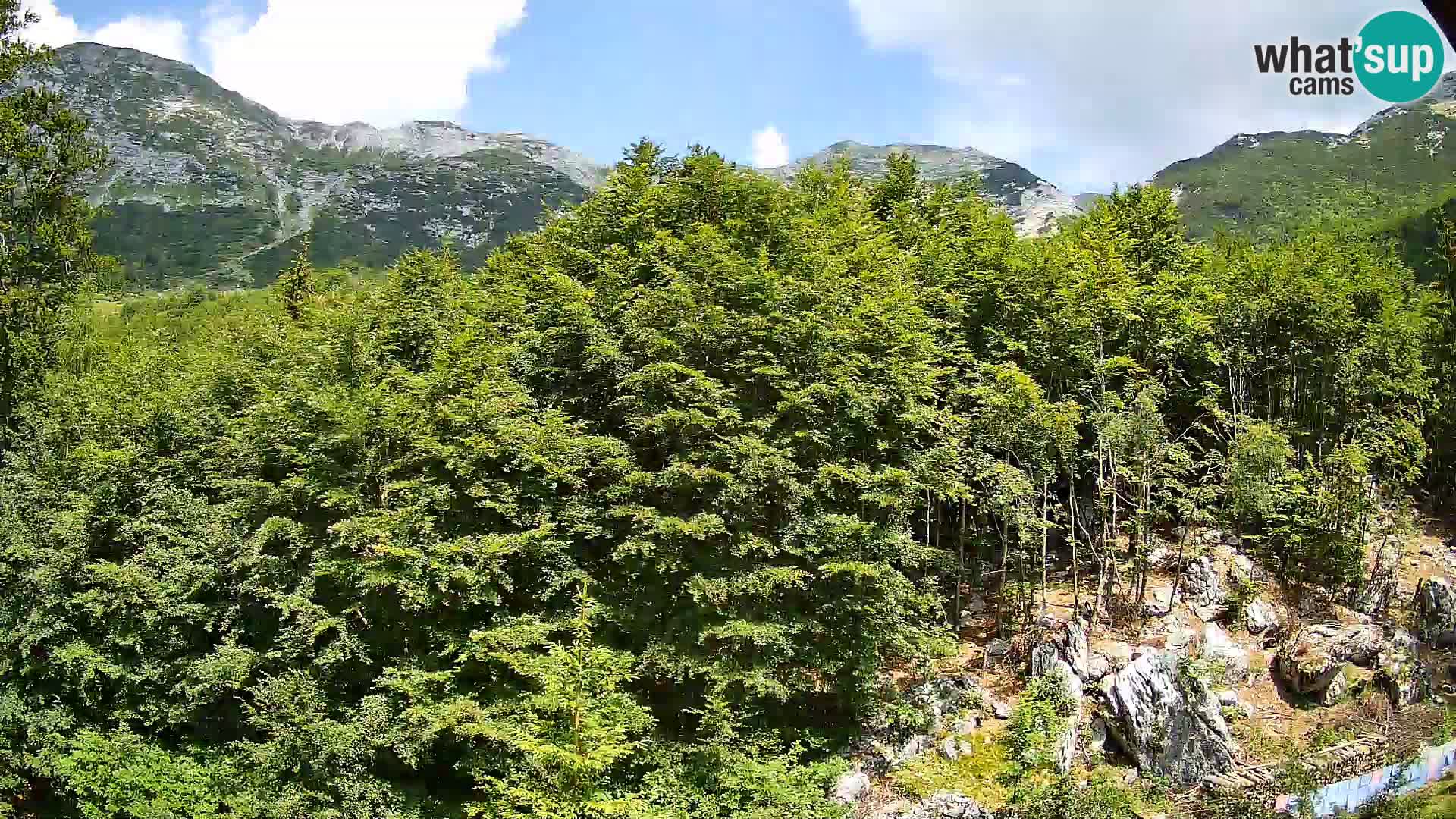 PLANINA RAZOR kamera (1315) | pogled na Vogel in Globoko