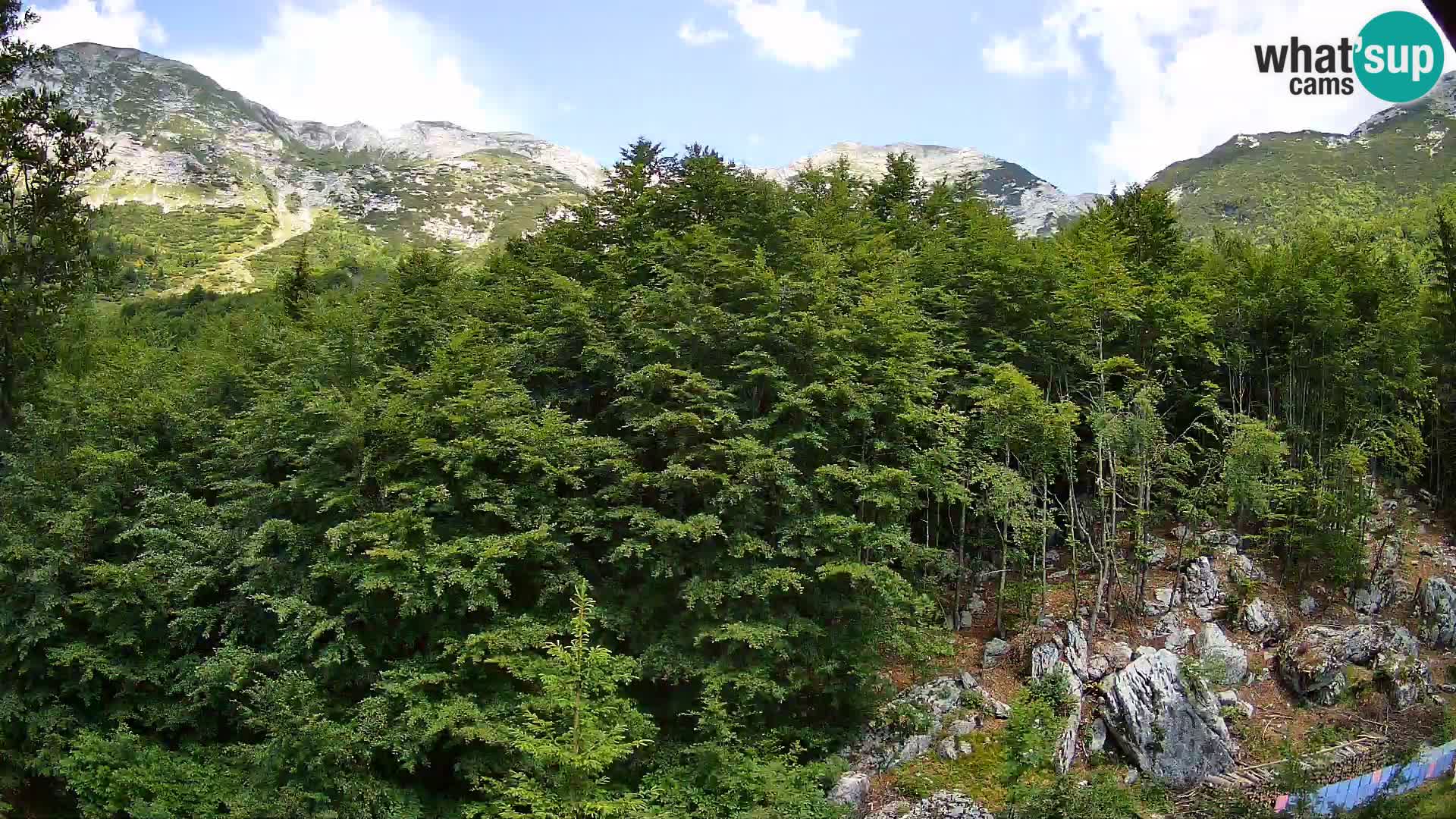 Livecam PLANINA RAZOR (1315) | vue sur Vogel et Globoko